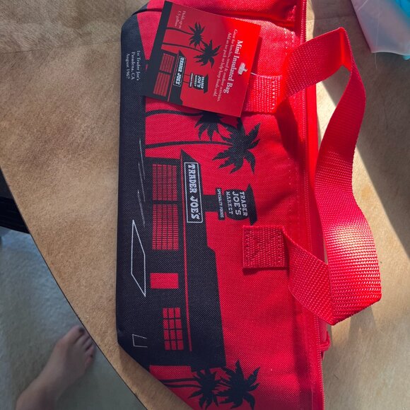 Trader Joe's Insulated Tote - Picture 5 of 5